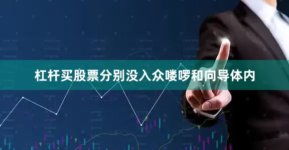 杠杆买股票分别没入众喽啰和向导体内