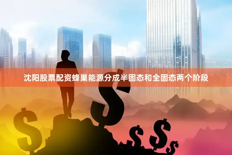 沈阳股票配资蜂巢能源分成半固态和全固态两个阶段