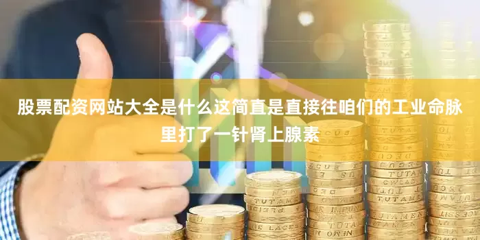 股票配资网站大全是什么这简直是直接往咱们的工业命脉里打了一针肾上腺素
